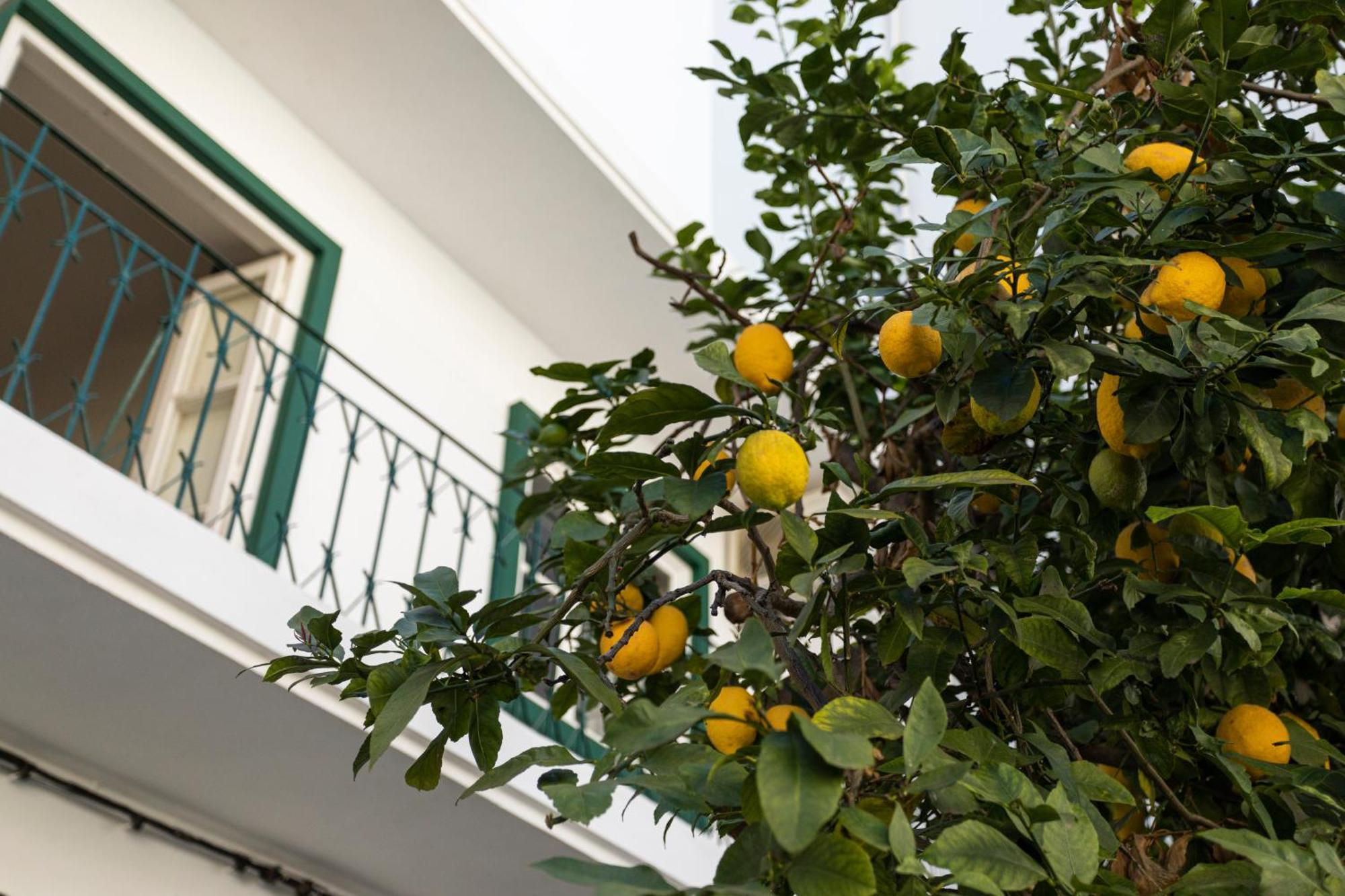 Lemon Hostel FAO Buitenkant foto
